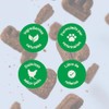 B-Pet Gastro Aid - Probióticos para Perro con Inulina