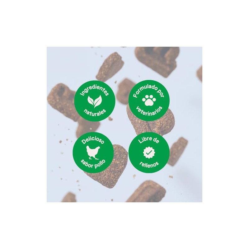 B-Pet Gastro Aid - Probióticos para Perro con Inulina