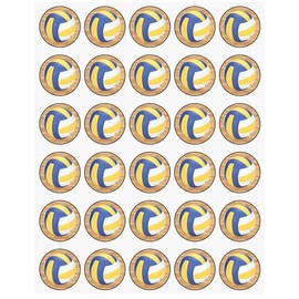 30 x Volleyball Themed Edible Cupcake Toppers | Uncut on Wafer Sheet- Qty 30-1.5” each