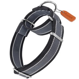Axdvk Martingale Collar 1.5 Inch Wide 1600D Extra Strong Anti Escape Nylon Dog Collar, No Pull Heavy Duty Dog Collar with 3-Color Stripe for Medium to XLarge Dogs(Medium, Gray Blue & Black)