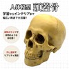 GlowBit Horror Halloween Ornament, Human Body Model, Candid Decoration, Skull,