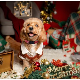 anlvico Christmas Dog Collar for Small Dogs，Adjustable Cotton Red Dog Collars Christmas Stockings Puppy Collar for Male Female Boy and Girl Dogs, XS