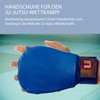 Ju-Sports Ju Jutsu Hand Guard - Blue, PU I High
