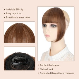 Clip in Bangs Hair Extensions Hair Clip on Wispy Bangs Hair Fake Bangs Clip in Human with Temples Hairpieces for Women Natural Wigs Bangs Clip