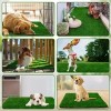 Alfombra Césped Perros Fengtuilie 71x46cm Lavable Ecológica Verde