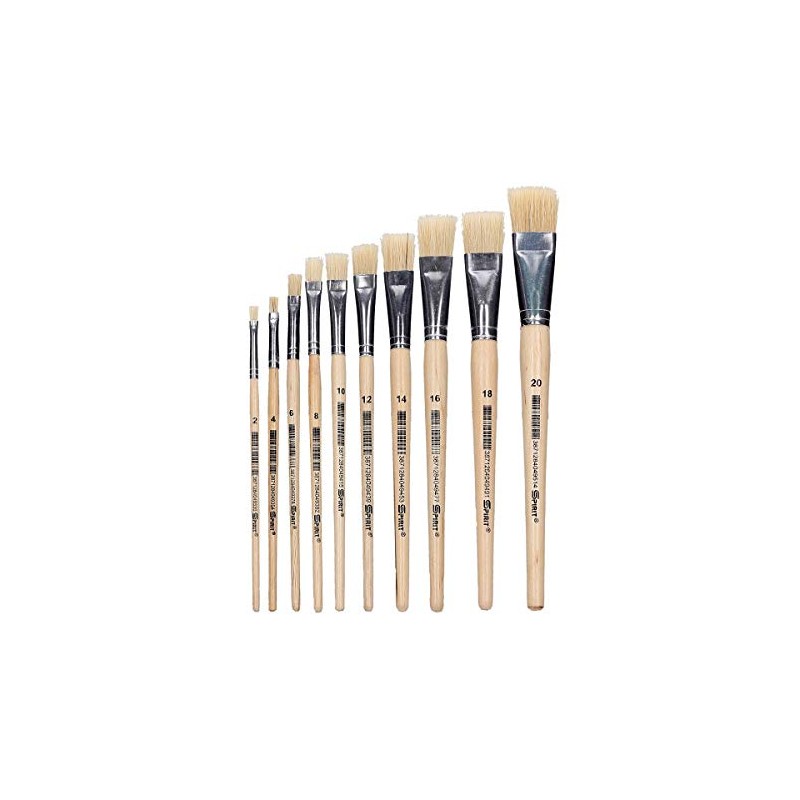 TTS No. 18 Bristle Brush (Pack of 12)