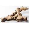 Pisces AM-MOP014 14" Large Mopani Wood, Varies
