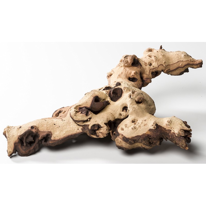 Pisces AM-MOP014 14" Large Mopani Wood, Varies