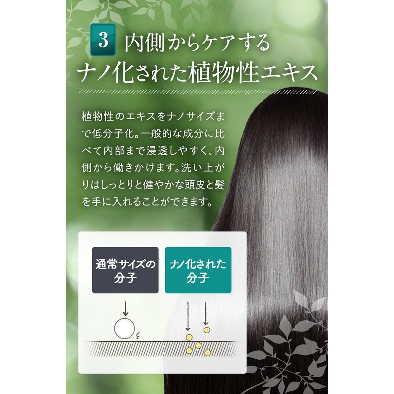 Scalp Shampoo, Scalp Shampoo Developed by Seborrheic Researchers, Reduces Dandruff