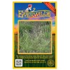 Everwilde Farms - 250 Poverty Oat Grass Native Grass Seeds