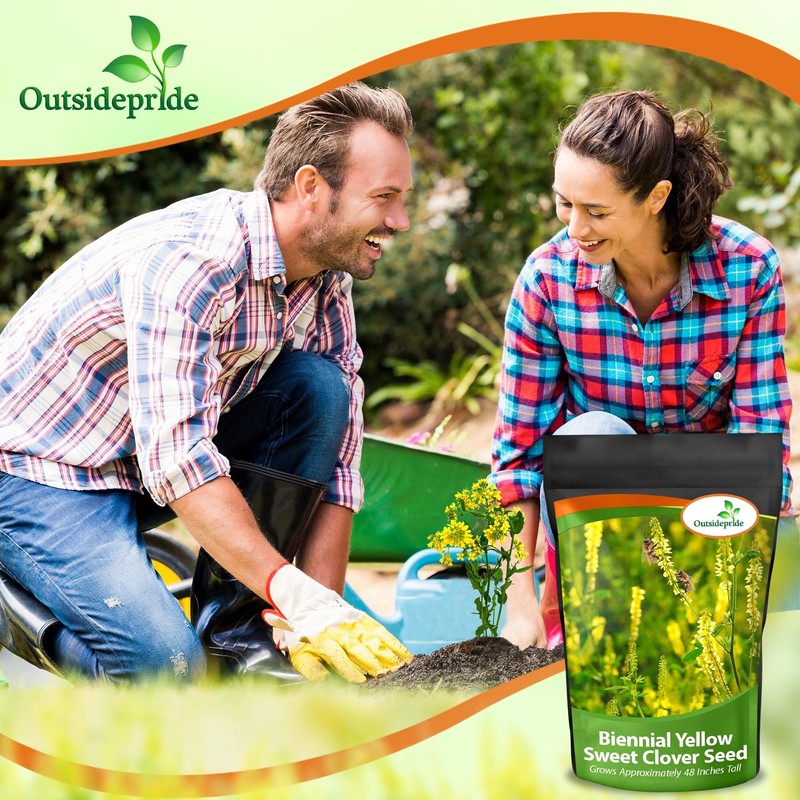 Outsidepride Yellow Sweet Clover Seed - 5 lbs Biennial, Drought-Tolerant,