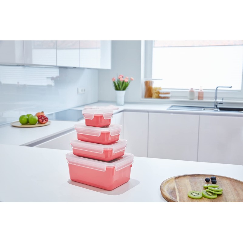 Tefal Masterseal Colour Edition Terracotta Rectangular Set of 4