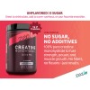 Zeal Creatine Monohydrate Micronizado Sin Sabor 5000 Mg