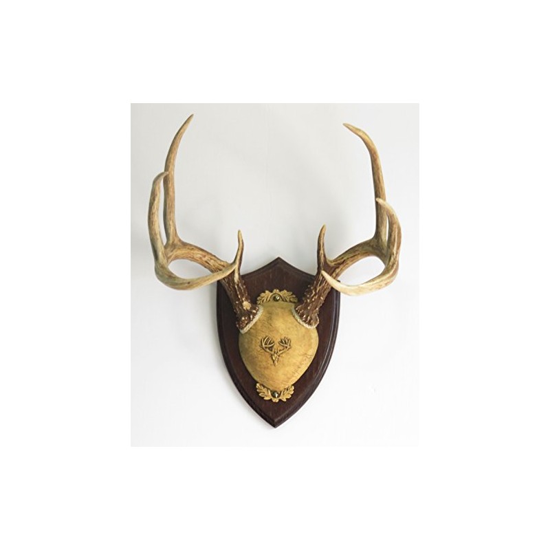 Taxidermists Woodshop TTW Ultimate Antler Mounting Kit - Dark Oak