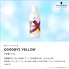 Goodbye Yellow Purple Shampoo 10.6 oz (310 g) Salon Exclusive