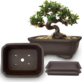 MUZHI 2PACK Unglazed 6” Ceramic Bonsai Pot with Humidity Trays, Breathable Handmade Rectangle Bonsai Planter for Starter Bonsai Tree, Juniper,Ficus, Money Tree