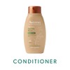 Aveeno Scalp Soothing Haircare Daily Moisture Oat Milk Conditioner for