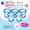 プロバイオティクス乳酸菌 31粒