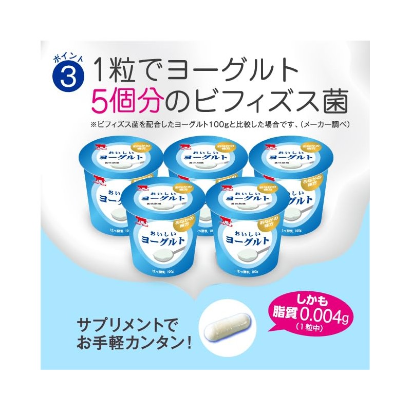 プロバイオティクス乳酸菌 31粒