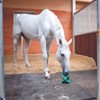 Bizzy Ball Horse Toy Pink | Bizzy Lick Holder, Reduce