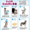 petexio (Petio) pettusumairudo Foam Wash rinsuinsyanpu- Fluff Friendly Puppy For