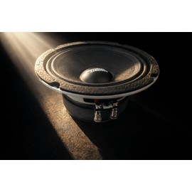 Resilient Sounds RS 65M 250w rms 4ohm 6.5" Speaker