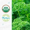 Back to The Roots 100% Organic Seed Packet - Parsley