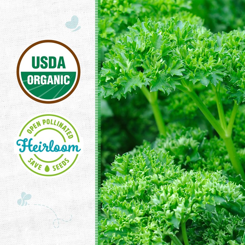 Back to The Roots 100% Organic Seed Packet - Parsley