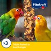 Vitakraft Crunch Sticks Apricot & Cherry Flavor Bird Treat for