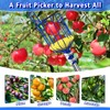 Zeepzer 13 FT Fruit Picker Pole Apple Avocado Picker Fruit