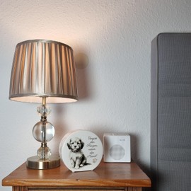 Cute Dog with Collar Money Box with Saying "Vergiss den Prinzen nimm den Hund Niedlich dassitzendes Haustier - Kleine süßer Tier-Freund statt Prinzen