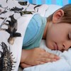 Kids Blanket Machine Washable Dinosaur Pattern Soft Plush Blanket for