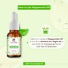 Passion Indulge Peppermint Essential Oil - 10 ml 100% Pure