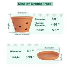 vensovo 8 Inch Terracotta Orchid Pots with Holes and Saucers - 2 Pcs Large Clay Planters for Repotting, Terra Cotta Pot for Plants Indoor and Outdoor Promotes Air Circulation