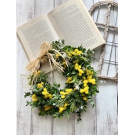 Lulu's Lulu's Mimosa Spring Wreath, Artificial Flower, Natural Wreath, Size: W 9.8 x H 9.8 x 2.8 inches (25 x 25 x 7 cm), Mimosa Spring Wreath Lulu's-2096