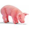 Schleich - Piglet Eating