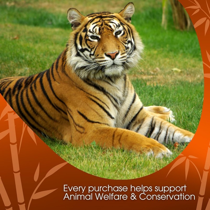 David Rio Food Service Bag Tiger Spice Chai, 1 Pack