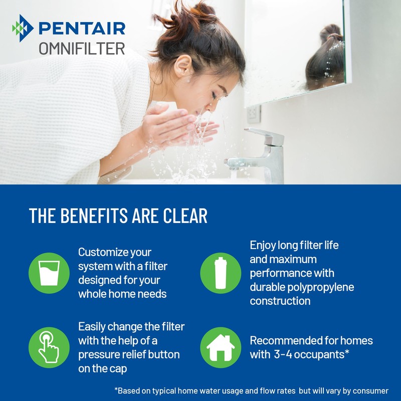 Pentair OMNIFilter Whole Home 10" Heavy-Duty Big Blue Water Filtration