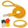 Soft Leather Dog Leash and Collar Set, Stylish Sturdy Braided