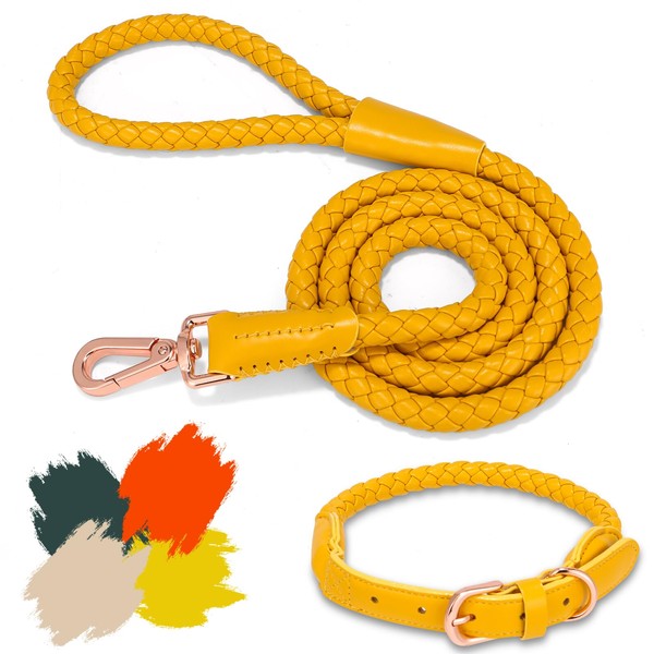 Soft Leather Dog Leash and Collar Set, Stylish Sturdy Braided