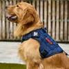 OneTigris Fire Watcher Tactical Dog Harness, MOLLE Safety Harness, Service