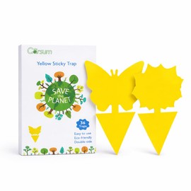 Garsum Fruit Fly Sticky Trap for Indoor and Outdoor, 36 Pack Fungus Gnat Killer for Houseplant,Mosquitos, Flying Insect, White Flies