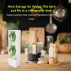 Aoveew Herb Savor Pod Freshes Herb Keeper Container Preserve your