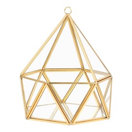 ElegantLife Glass Geometric Terrarium,Succulent & Air Plant(No Plant Included) (Gold)