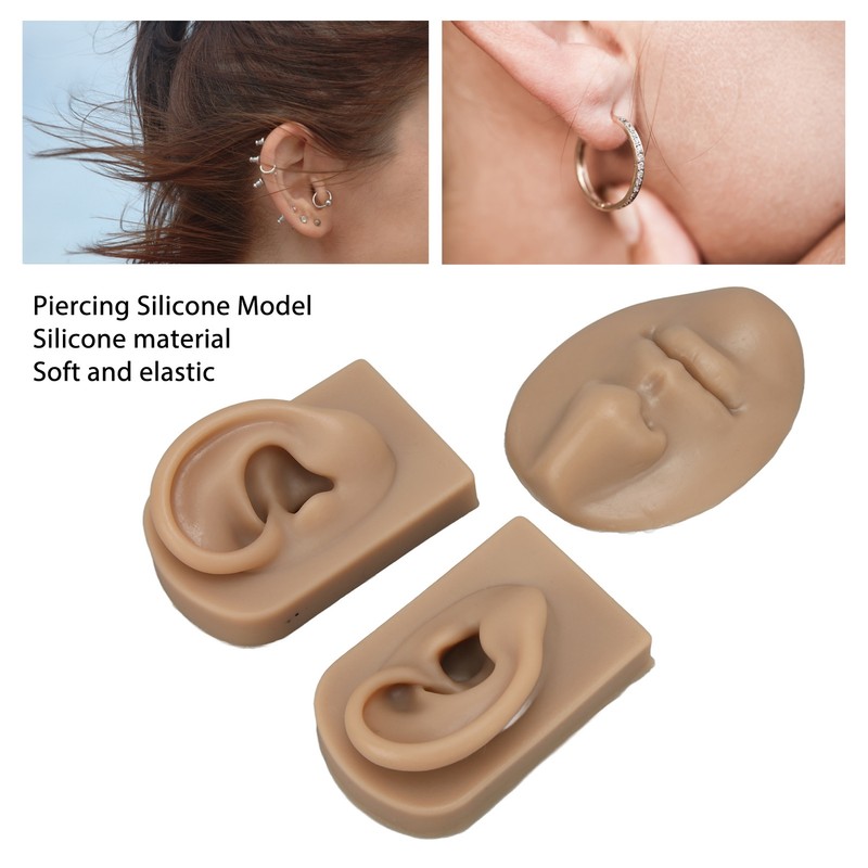 3D Nose and Mouth Model Silicone Ear Model Simulation Display