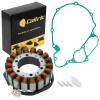 For Honda Stator & Gasket for Honda VT1100C VT1100C2 Shadow