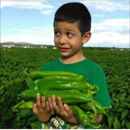 PAPAW'S GARDEN SUPPLY LLC. Helping The Next Generation Grow! Hatch Certified Big Jim Hot Pepper Seeds, Non-GMO, 1 Pack of 20 Vegetable Seeds