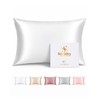 SilkSilky 100% Pure Organic Mulberry Silk Pillowcase for Hair &