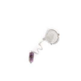 The Traveling Teapot Tea Infuser for Loose Leaf Tea-Cute reusable steeper stainless steel mesh, strainer ball holder accessory, single diffusers brewer strainers infusers diffuser (Dragonfly)