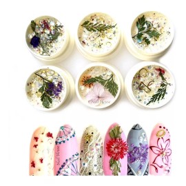 Cristales Figuras Doradas Y Naturaleza Muerta Decoracion Uña